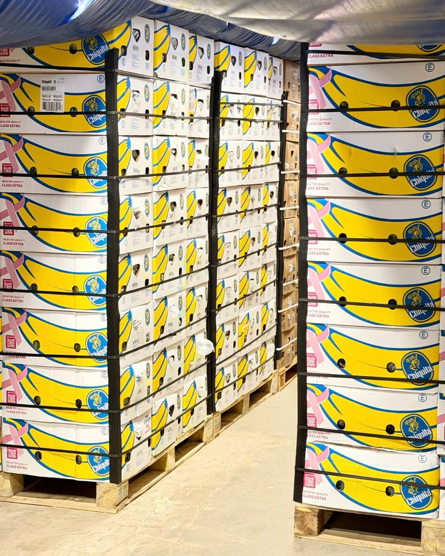 Napaletované krabice banánů Chiquita ve skladu dozrávárny Luvini Fruit v Liberci